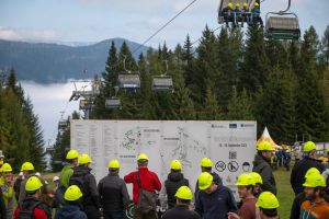  c  bernhard bergmann