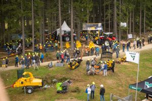  c  bernhard bergmann