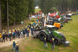  c  bernhard bergmann