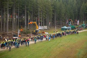  c  bernhard bergmann