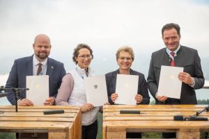  c  bernhard bergmann