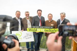  c  bernhard bergmann