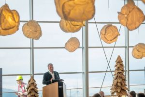  c  bernhard bergmann