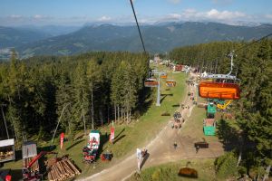  c  bernhard bergmann