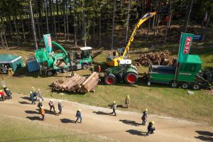  c  bernhard bergmann