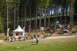  c  bernhard bergmann