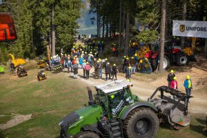  c  bernhard bergmann