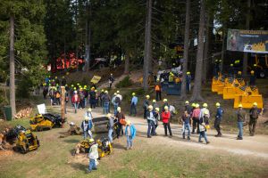  c  bernhard bergmann