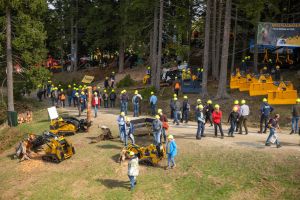  c  bernhard bergmann