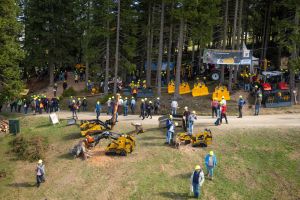  c  bernhard bergmann