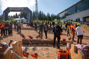  c  bernhard bergmann