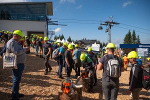  c  bernhard bergmann