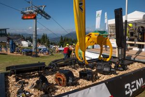  c  bernhard bergmann