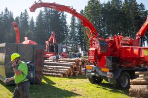  c  bernhard bergmann