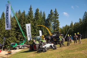  c  bernhard bergmann