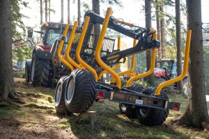  c  bernhard bergmann