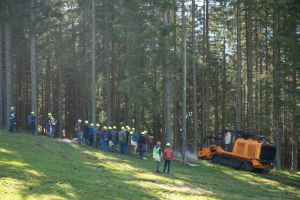  c  bernhard bergmann