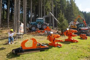  c  bernhard bergmann