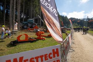  c  bernhard bergmann