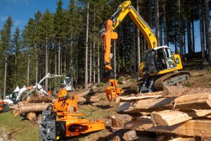  c  bernhard bergmann