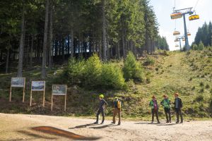  c  bernhard bergmann