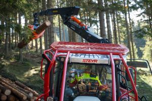  c  bernhard bergmann