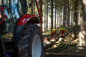  c  bernhard bergmann