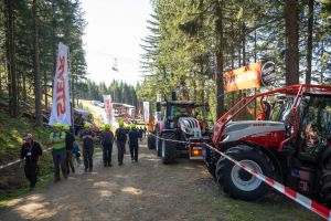  c  bernhard bergmann