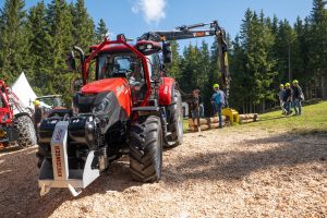  c  bernhard bergmann