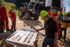  c  bernhard bergmann