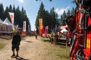  c  bernhard bergmann