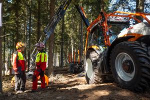  c  bernhard bergmann