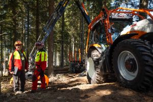  c  bernhard bergmann