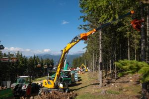  c  bernhard bergmann