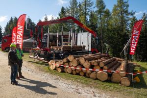  c  bernhard bergmann