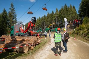  c  bernhard bergmann