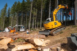  c  bernhard bergmann