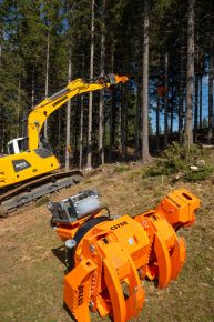  c  bernhard bergmann