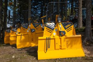  c  bernhard bergmann