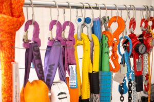  c  bernhard bergmann