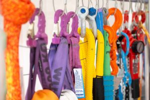  c  bernhard bergmann