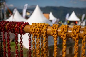  c  bernhard bergmann