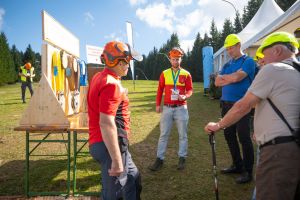  c  bernhard bergmann