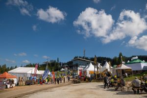  c  bernhard bergmann