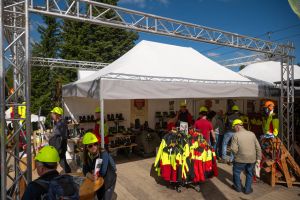  c  bernhard bergmann