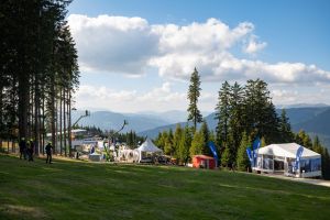  c  bernhard bergmann