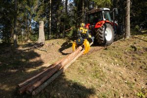  c  bernhard bergmann