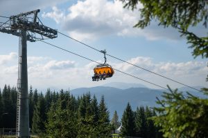  c  bernhard bergmann