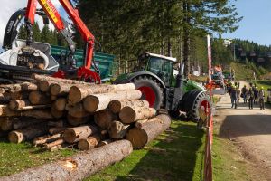  c  bernhard bergmann