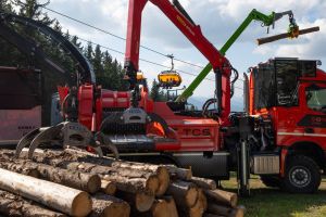  c  bernhard bergmann